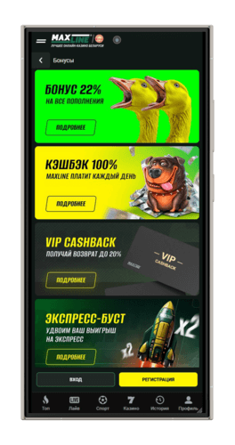 Доступные бонусные программы в Maxline