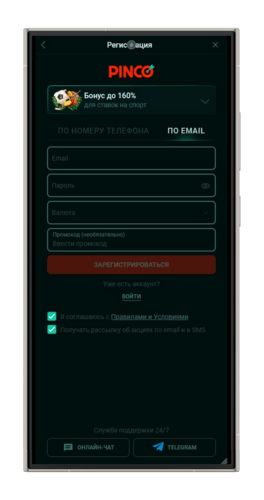 Анкета для регистрации в конторе Пинко