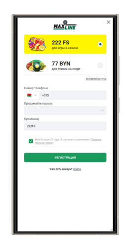 Регистрационная анкета в Макслайн